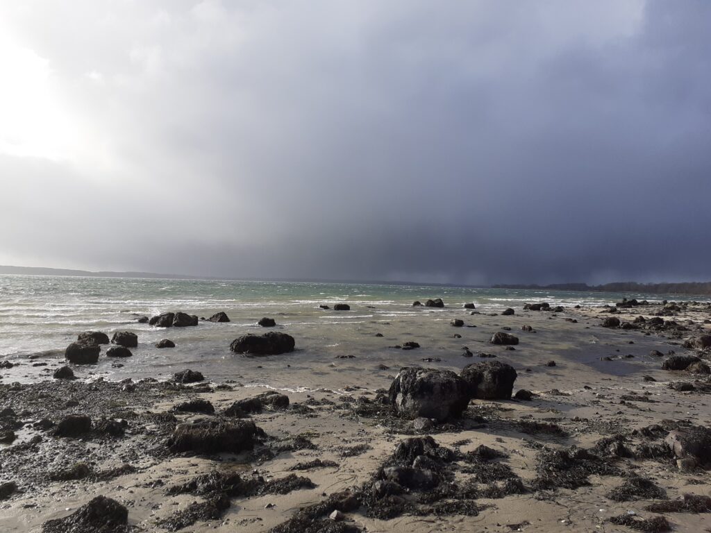 Strand und Steine, das Ufer der Flensburger Förde