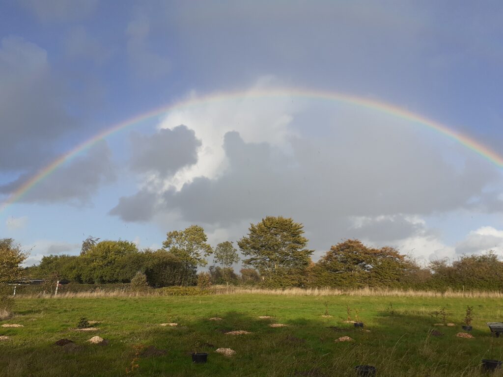 Ein schönes Stück Erde mit frisch angepflanzten Bäumen, darüber der Regenbogen